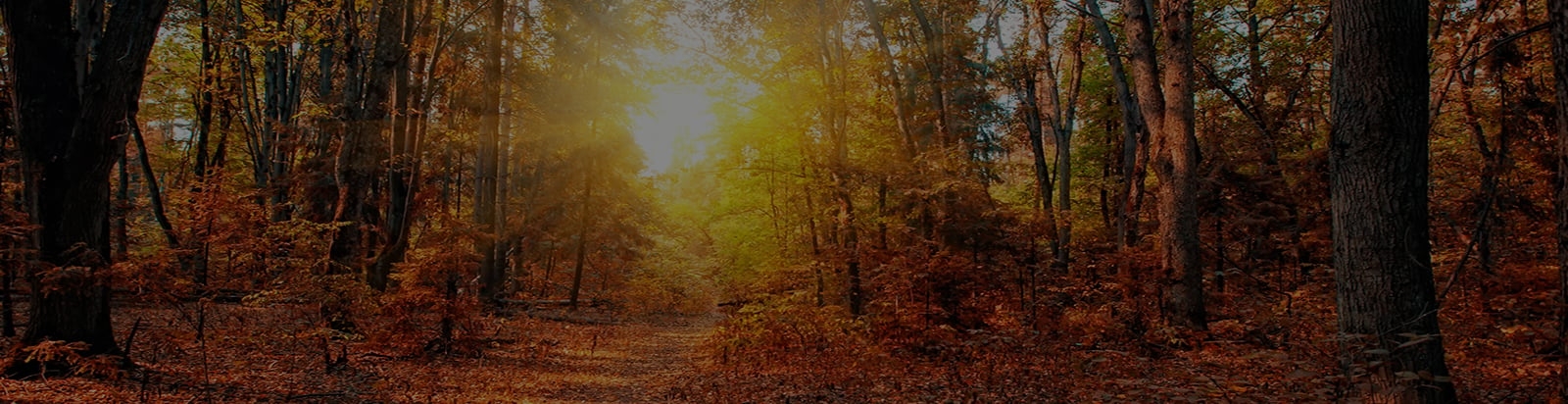 Raffle Banner