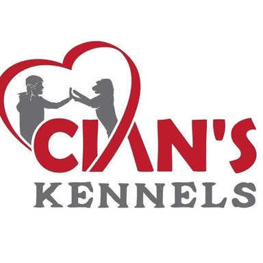 Page Logo