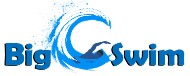 Page Logo