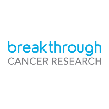 Page Logo