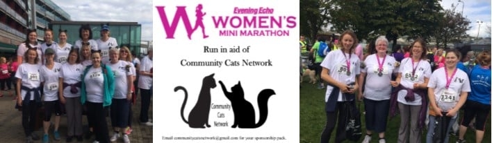 Page Banner