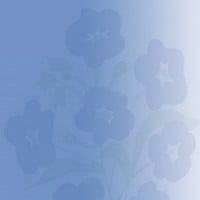 Page Banner