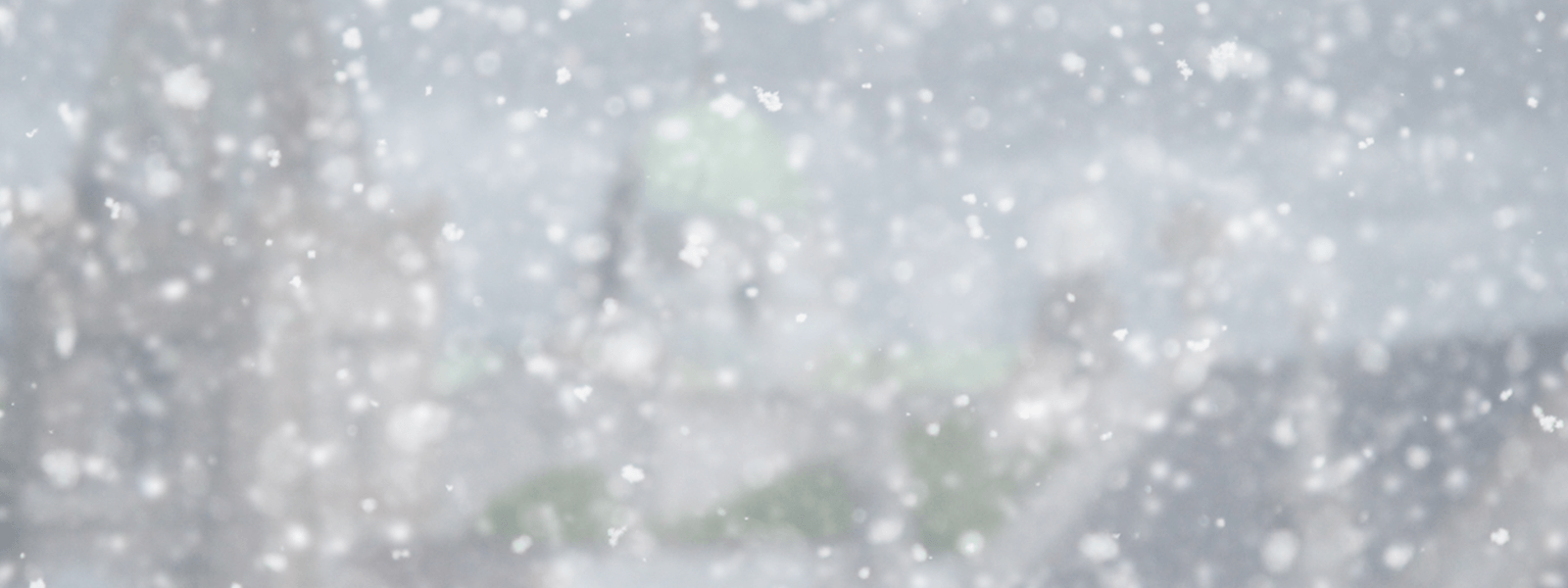 Page Banner