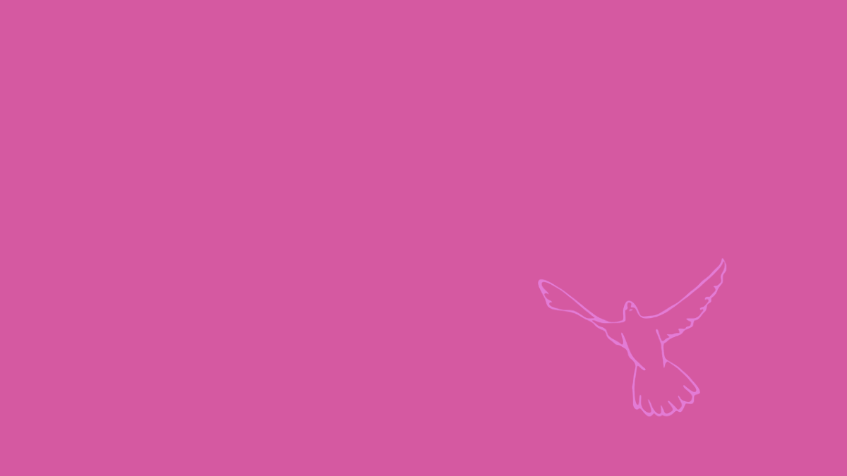 Page Banner