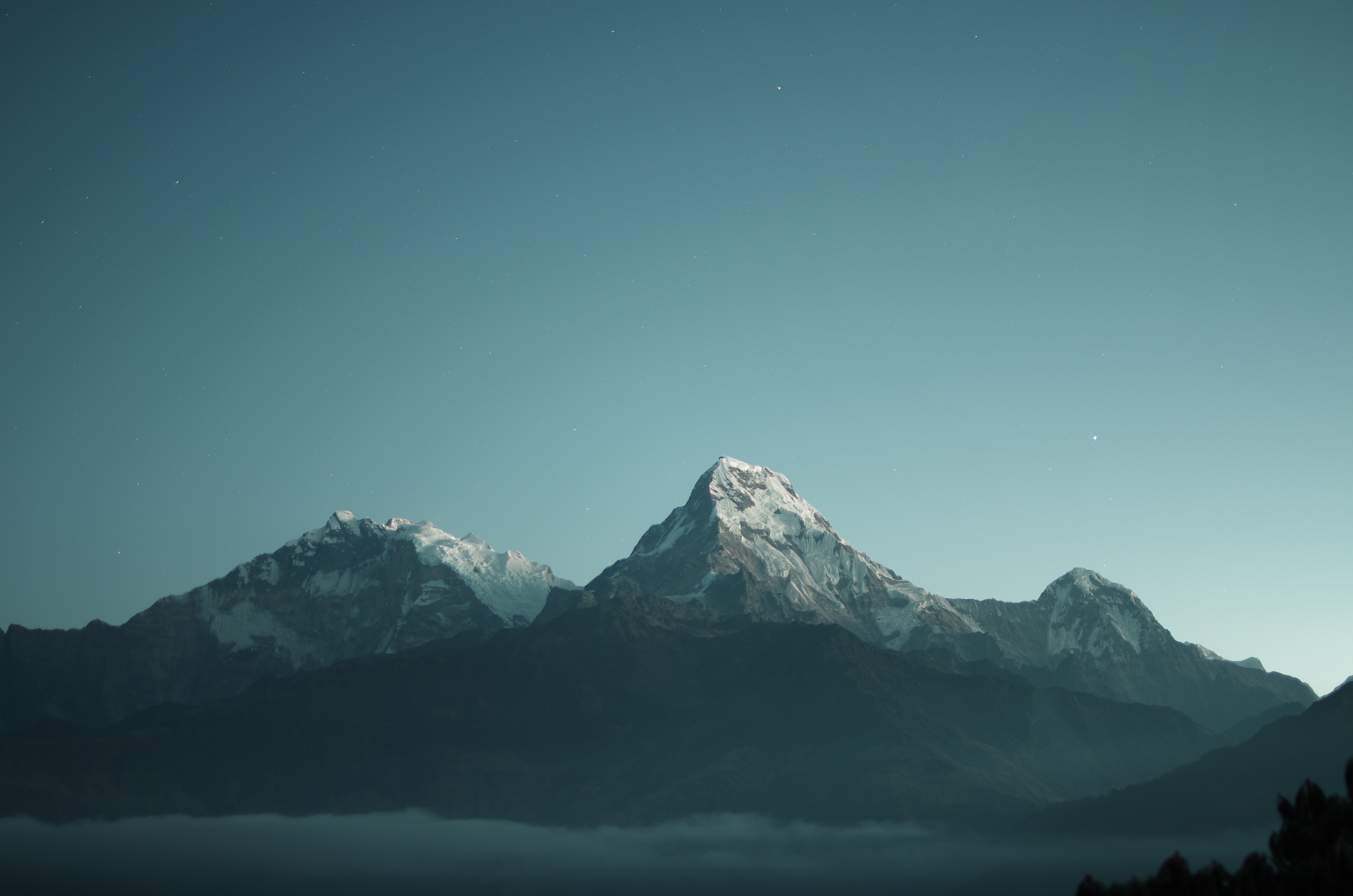 Page Banner