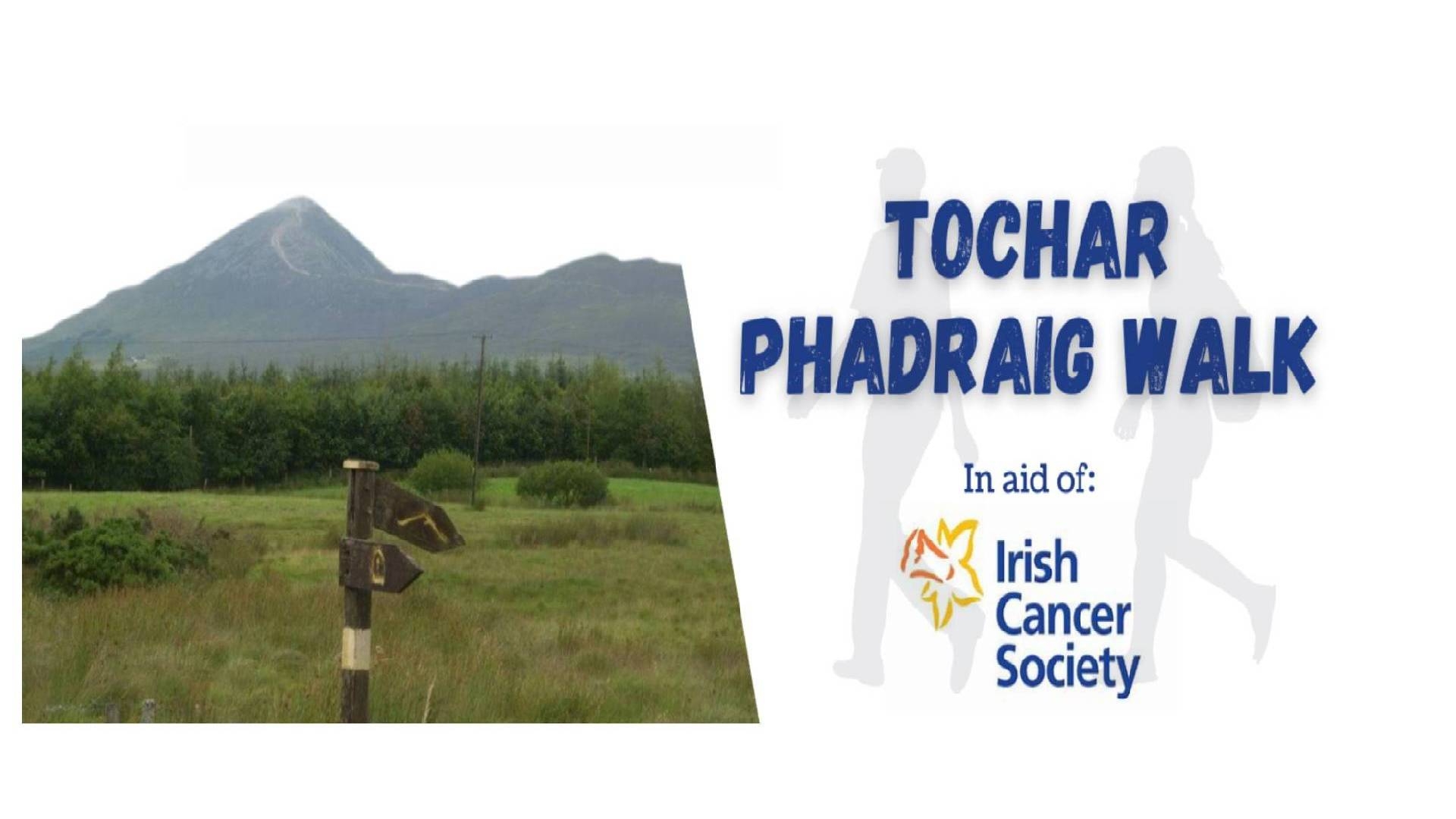 Page Banner