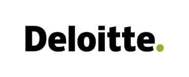 Page Logo