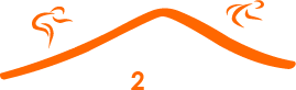 Page Logo