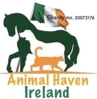 Page Logo