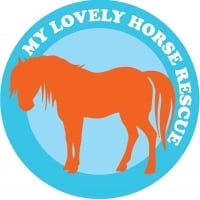 Page Logo