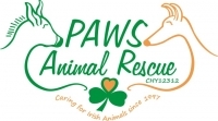 Page Logo