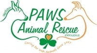 Page Logo