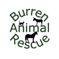 Page Logo