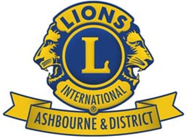 Page Logo
