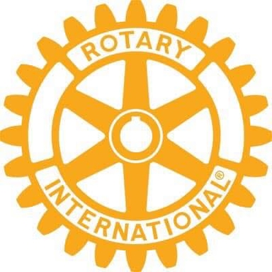 Page Logo