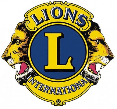 Page Logo