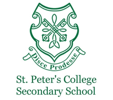 Page Logo