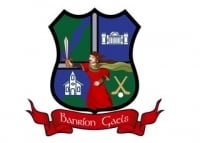 Page Logo