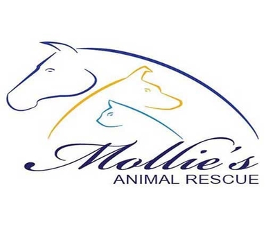 Page Logo