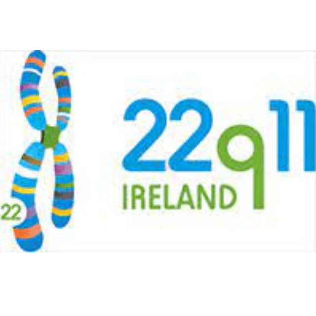 Page Logo