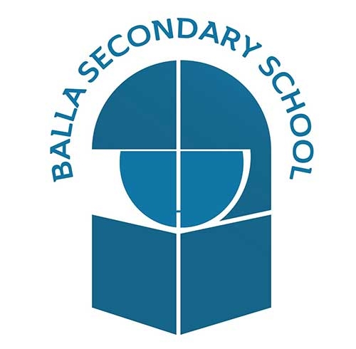 Page Logo