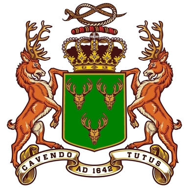 Page Logo