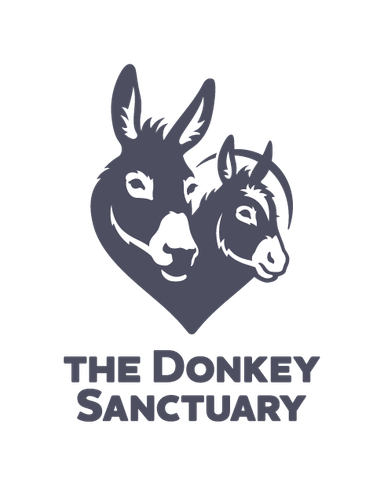 Page Logo
