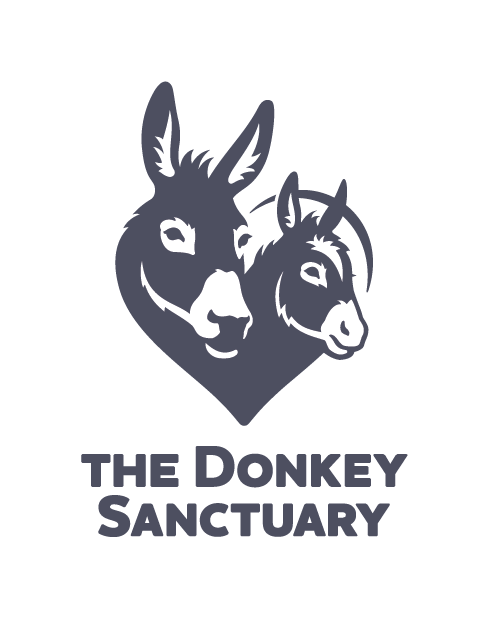 Page Logo