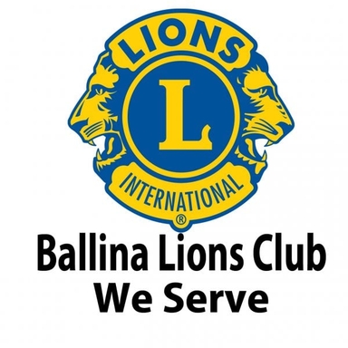 Page Logo