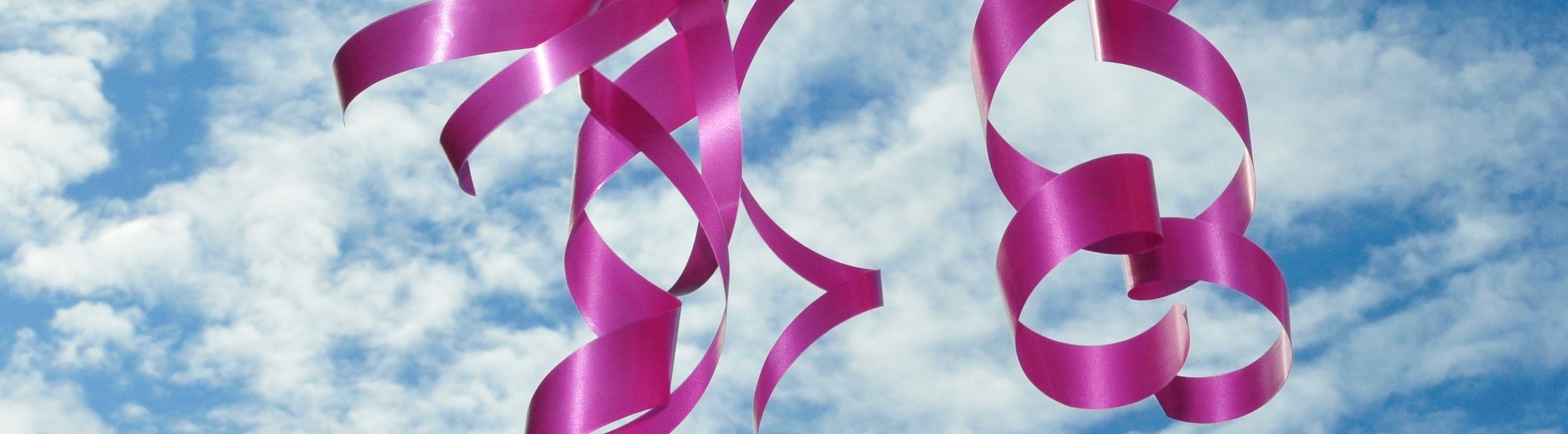 Raffle Banner