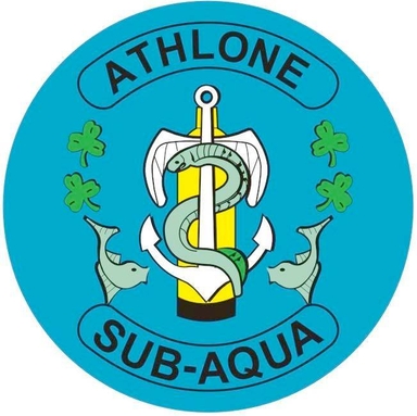 Page Logo