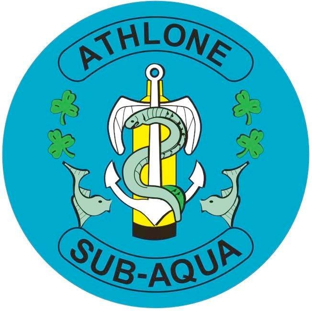 Page Logo