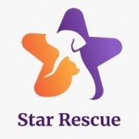 Page Logo
