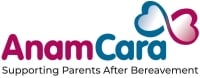 Page Logo