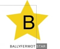 Page Logo