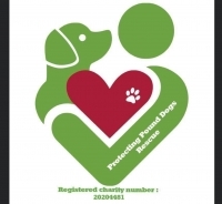 Page Logo
