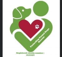 Page Logo