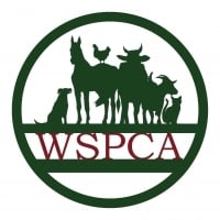 Page Logo
