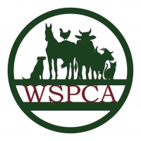 Page Logo