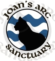 Page Logo