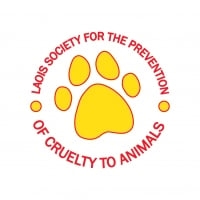 Page Logo