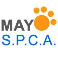 Page Logo
