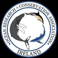Page Logo