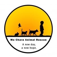 Page Logo