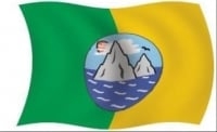 Page Logo