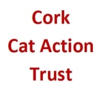 Page Logo