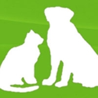 Page Logo