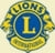 Page Logo