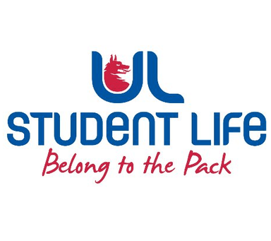 Page Logo