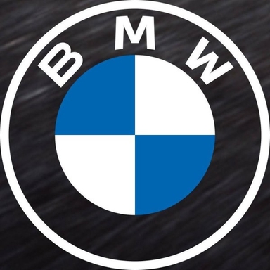 Page Logo